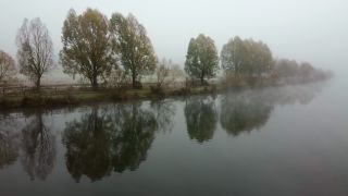 Link to Video | landscape, tree, Saarland, autumn, Saar, Merzig, Germany, fog, river, natural watercourse, Merzig-Wadern, nature