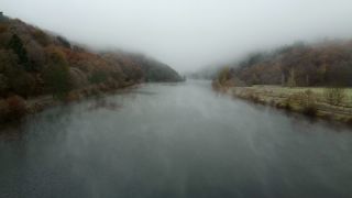 Link zum Video | Landschaft, Baum, Saarland, Herbst, Saar, Merzig, Deutschland, Nebel, Fluss, natürliches Fließgewässer, Landkreis Merzig-Wadern, Natur