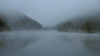 Link zum Video | Landschaft, Baum, Saarland, Herbst, Saar, Merzig, Deutschland, Nebel, Fluss, natürliches Fließgewässer, Landkreis Merzig-Wadern, Natur