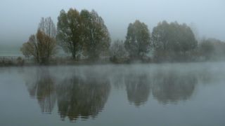 Link zum Video | Landschaft, Baum, Saarland, Herbst, Saar, Merzig, Deutschland, Nebel, Fluss, natürliches Fließgewässer, Landkreis Merzig-Wadern, Natur