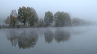 Link to Video | landscape, tree, Saarland, autumn, Saar, Merzig, Germany, fog, river, natural watercourse, Merzig-Wadern, nature