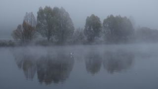 Link to Video | landscape, tree, Saarland, autumn, Saar, Merzig, Germany, fog, river, natural watercourse, Merzig-Wadern, nature
