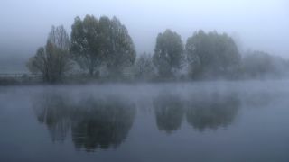 Link to Video | landscape, tree, Saarland, autumn, Saar, Merzig, Germany, fog, river, natural watercourse, Merzig-Wadern, nature