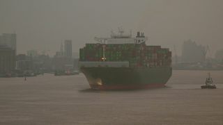 Link to Video | Hamburg, cargo ship, waterway, cargo shipping, Großes Containerschiff, Elbe, container ship, logistics, Germany, Seeschifffahrtsstraße, mode of transport, sea shipping, transport infrastructure, river, port, container shipping, transport, morning, thoroughfare