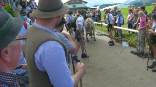 Link to Video | livestock, Allgäu, Germany, party, color, custom, Oberstdorf, traditional costume, Oberstdorf, Almabtrieb, captive animal, tradition, cattle, Bavaria
