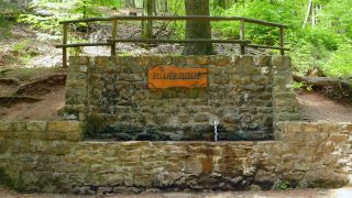 Link to Video | landscape, bird's-eye view, Rhineland-Palatinate, Germany, Hunsrück, Hochwald, aerial shot