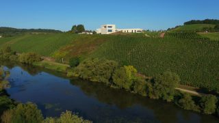 Link to Video | bird's-eye view, Rhineland-Palatinate, Saar, winery, Wiltingen, Germany, wine-producing region, vineyard, viticulture, aerial shot