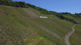 Link to Video | landscape, Rhineland-Palatinate, tourist destination, Moselbrücke Bullay, waterway, body of water, Wolf, Moselle, Germany, wine-producing region, vineyard, viticulture, river, Mosel-Saar-Ruwer, Moselle Valley