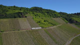 Link to Video | landscape, Rhineland-Palatinate, tourist destination, Moselbrücke Bullay, waterway, body of water, Wolf, Moselle, Germany, wine-producing region, vineyard, viticulture, river, Mosel-Saar-Ruwer, Moselle Valley