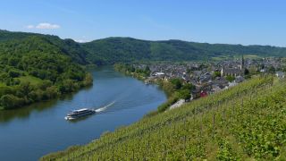 Link to Video | landscape, Rhineland-Palatinate, tourist destination, Moselbrücke Bullay, waterway, body of water, Wolf, Moselle, Germany, wine-producing region, vineyard, viticulture, river, Mosel-Saar-Ruwer, Moselle Valley