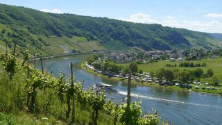 Link to Video | landscape, Rhineland-Palatinate, tourist destination, Moselbrücke Bullay, waterway, body of water, Wolf, Moselle, Germany, wine-producing region, vineyard, viticulture, river, Mosel-Saar-Ruwer, Moselle Valley