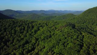 Link to Video | landscape, bird's-eye view, Rhineland-Palatinate, Germany, Annweiler am Trifels, Palatinate, forest, aerial shot, Palatinate Forest, nature, milieu