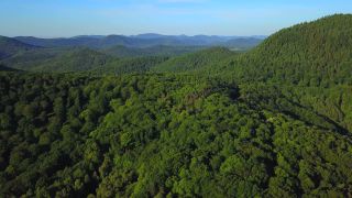 Link zum Video | Landschaft, Vogelperspektive, Rheinland-Pfalz, Deutschland, Annweiler am Trifels, Pfalz, Wald, Luftaufnahme, Pfälzerwald, Natur, Umwelt