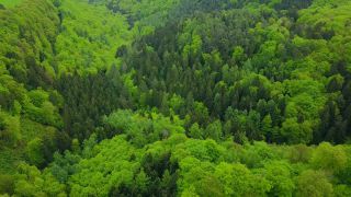 Link to Video | landscape, tree, bird's-eye view, Rhineland-Palatinate, spring, leaves, Germany, mixed forest, green, forest, aerial shot, Kastel-Staadt, nature