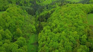 Link to Video | landscape, tree, bird's-eye view, Rhineland-Palatinate, spring, leaves, Germany, mixed forest, green, forest, aerial shot, Kastel-Staadt, nature