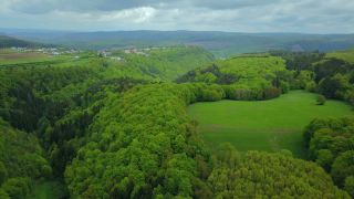 Link to Video | landscape, tree, bird's-eye view, Rhineland-Palatinate, spring, leaves, Germany, mixed forest, green, forest, aerial shot, Kastel-Staadt, nature