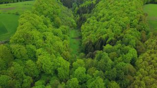 Link zum Video | Landschaft, Baum, Vogelperspektive, Rheinland-Pfalz, Frühling, Laub, Deutschland, Mischwald, Grün, Wald, Luftaufnahme, Kastel-Staadt, Natur