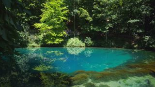 Link to Video | landscape, tree, tourist destination, spring, Germany, See, lake, Blautopf, water, Blaubeuren, forest, tourist attraction, Blaubeuren, nature, Baden-Württemberg