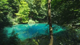 Link to Video | landscape, tree, tourist destination, spring, Germany, See, lake, Blautopf, water, Blaubeuren, forest, tourist attraction, Blaubeuren, nature, Baden-Württemberg