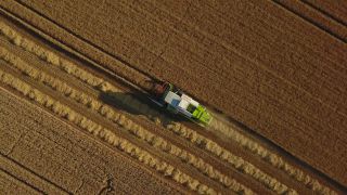 Link to Video | landscape, agriculture, bird's-eye view, Rhineland-Palatinate, Germany, field, aerial shot, Fisch, nature, Saargau