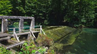 Link zum Video | Landschaft, Baum, Tourismusziel, Quelle, Deutschland, See, See, Blautopf, Wasser, Blaubeuren, Wald, Sehenswürdigkeit, Blaubeuren, Natur, Baden-Württemberg