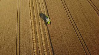 Link to Video | landscape, agriculture, bird's-eye view, Rhineland-Palatinate, Germany, field, aerial shot, Fisch, nature, Saargau