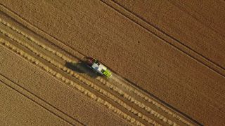 Link to Video | landscape, agriculture, bird's-eye view, Rhineland-Palatinate, Germany, field, aerial shot, Fisch, nature, Saargau