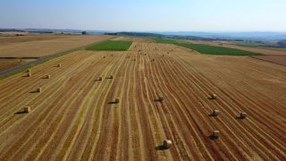 Link to Video | landscape, agriculture, bird's-eye view, Rhineland-Palatinate, Germany, field, aerial shot, Fisch, nature, Saargau