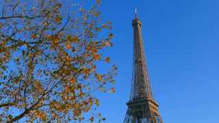 Link zum Video | Tourismusziel, Turm, Sehenswürdigkeit, Frankreich, Wahrzeichen, Eiffelturm, Sehenswürdigkeit, Bauwerk, Paris, Point of Interest