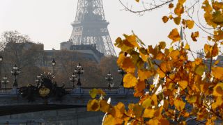 Link to Video | tourist destination, autumn, France, big city, million city, metropolis, Europe, city, tourist attraction, Paris