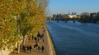 Link to Video | tourist destination, autumn, France, big city, million city, metropolis, Europe, city, tourist attraction, Paris