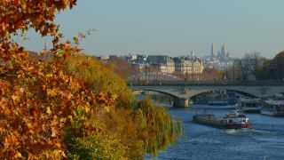 Link to Video | tourist destination, autumn, France, big city, million city, metropolis, Europe, city, tourist attraction, Paris