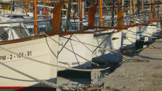 Link to Video | Spain, Port de Pollença, Serra de Tramuntana, Mediterranean Sea, Balearic Islands, Mediterranean Basin, Mallorca
