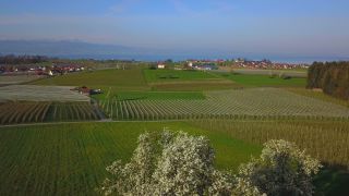 Link zum Video | Landschaft, Baum, Landwirtschaft, Frühling, Obstbau, Plantage, Selmnau, Bodensee, Süddeutschland, Wasserburg, Natur, Obstbaum, Bayern