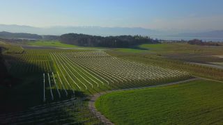 Link to Video | landscape, tree, agriculture, spring, fruit picking, plantation, Selmnau, Lake Constance, Southern Germany, Wasserburg am Bodensee, nature, fruit tree, Bavaria