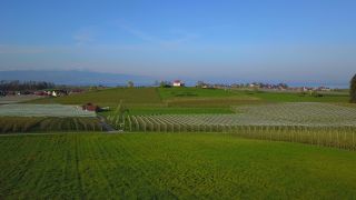 Link to Video | landscape, tree, agriculture, spring, fruit picking, plantation, Selmnau, Lake Constance, Southern Germany, Wasserburg am Bodensee, nature, fruit tree, Bavaria