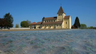 Link to Video | spring, Reichenau Island, religious building, Christian Church, Lake Constance, Southern Germany, Insel Reichenau, Baden-Württemberg