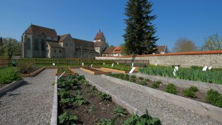 Link to Video | spring, Reichenau Island, religious building, Christian Church, Lake Constance, Southern Germany, Insel Reichenau, Baden-Württemberg
