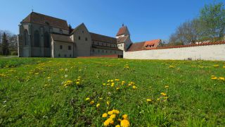 Link to Video | spring, Reichenau Island, religious building, Christian Church, Lake Constance, Southern Germany, Insel Reichenau, Baden-Württemberg