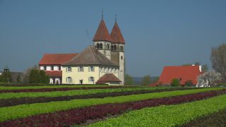 Link to Video | spring, Reichenau Island, religious building, Christian Church, Lake Constance, Southern Germany, Insel Reichenau, Baden-Württemberg