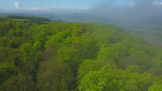 Link to Video | landscape, tree, Rhineland-Palatinate, spring, Germany, vegetation, forest, Fisch, nature, Saargau