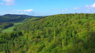 Link to Video | landscape, tree, Rhineland-Palatinate, spring, Germany, vegetation, forest, Fisch, nature, Saargau