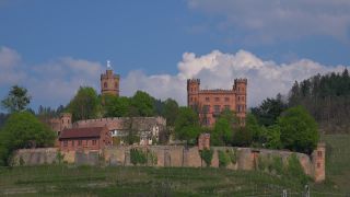 Link to Video | Germany, Central Black Forest, Gengenbach, Baden-Württemberg