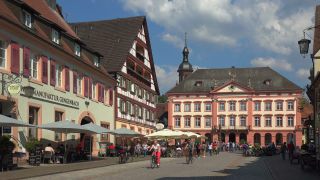 Link to Video | Germany, Central Black Forest, Gengenbach, Baden-Württemberg