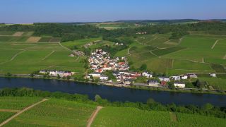 Link to Video | Upper Moselle, Moselle, Ahn, Luxembourg