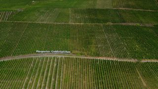 Link to Video | bird's-eye view, Rhineland-Palatinate, Moselle, physical location, Germany, Piesporter Goldtröpfchen, wine-producing region, vineyard, viticulture, Piesport, Piesport, aerial shot, Mosel-Saar-Ruwer