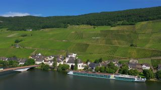 Link to Video | bird's-eye view, Rhineland-Palatinate, Moselle, physical location, Germany, Piesporter Goldtröpfchen, wine-producing region, vineyard, viticulture, Piesport, Piesport, aerial shot, Mosel-Saar-Ruwer