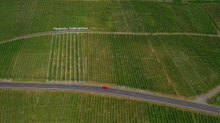 Link to Video | bird's-eye view, Rhineland-Palatinate, Moselle, physical location, Germany, Piesporter Goldtröpfchen, wine-producing region, vineyard, viticulture, Piesport, Piesport, aerial shot, Mosel-Saar-Ruwer
