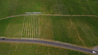 Link to Video | bird's-eye view, Rhineland-Palatinate, Moselle, physical location, Germany, Piesporter Goldtröpfchen, wine-producing region, vineyard, viticulture, Piesport, Piesport, aerial shot, Mosel-Saar-Ruwer
