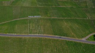 Link zum Video | Vogelperspektive, Rheinland-Pfalz, Mosel, Ort, Deutschland, Piesporter Goldtröpfchen, Weinbaugebiet, Weinberg, Weinbau, Piesport, Piesport, Luftaufnahme, Mosel